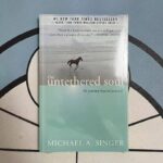 The-Untethered-Soul-By-Michael-A-Singer-The-Journey-Beyond-Yourself-Novel-1-New-York-Times