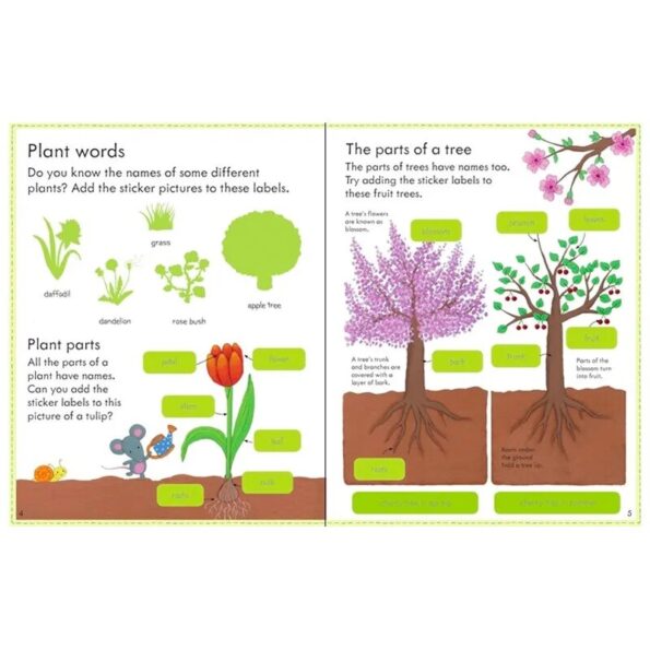 Usborne-First-Sticker-Book-How-Things-Grow-Colouring-English-Activity-Story-Picture-Book-for-Kids-2